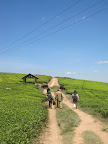  &ndash;                                 &ndash; 02-Nov-2009