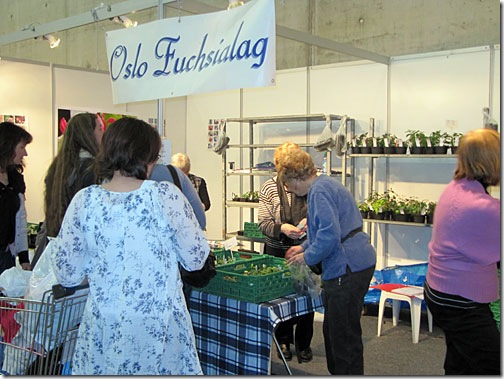 IMG_2026 IMG_2026