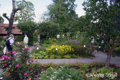 [Urtegården4[4].jpg]