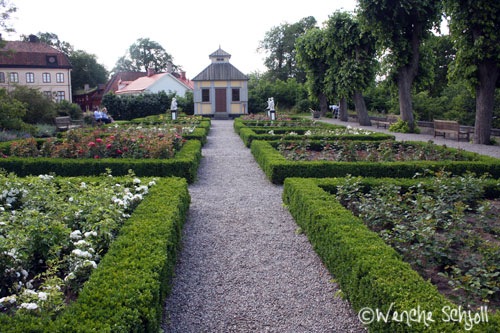 [Rosengården3[3].jpg]