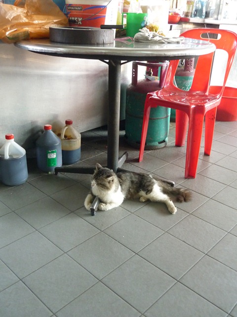 Trip to Ipoh 090411 001