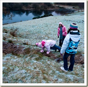 Knapps Loch Walk