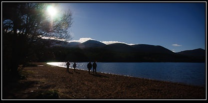 DSC_5785 DSC_5785