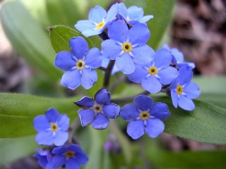 [DSCN0517.JPG]