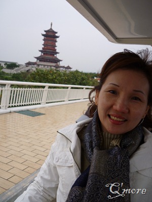 P1010851 P1010851