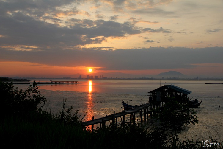 IMG_3487 IMG_3487