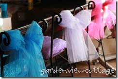 IMG_8989 IMG_8989