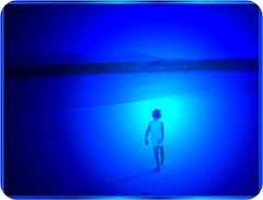 indigo indigo