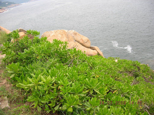 毛泽东照片:maozedongzhaopian-1050841