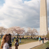 2006-04-06 Cherry Blossom Festival