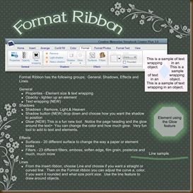 Format Ribbon 3 - Page 021
