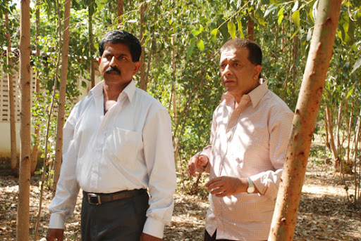 CLICK THE ABOVE ARROW TO  ZOOM THE IMAGE