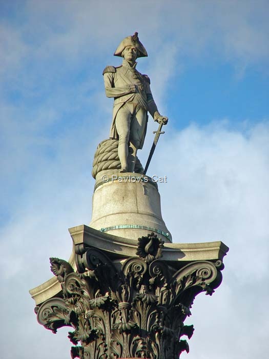 [nelson[14].jpg]