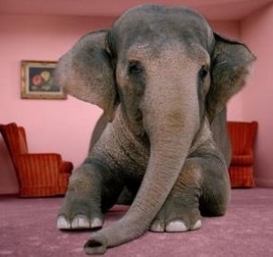 [elephant-in-room-jpg[2].jpg]