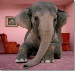 elephant-in-room-jpg