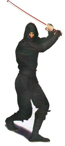 [ninja_violin_bow[3].jpg]