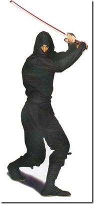 ninja_violin_bow