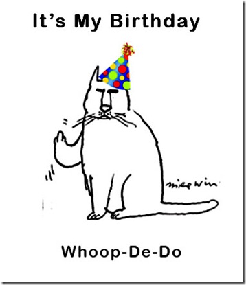 birthday cat