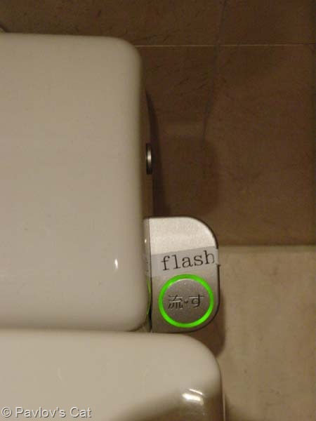 [flash[10].jpg]