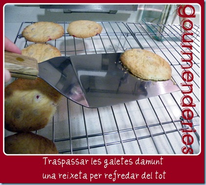 1006150027blog 1006150027blog