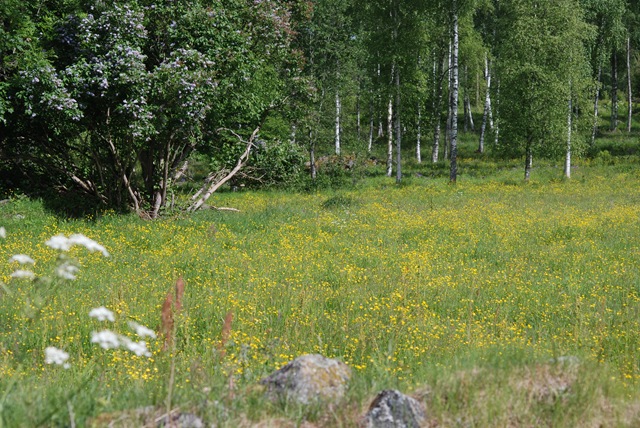 [DSC_0812[4].jpg]