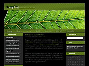 Finance Pamphlet Free Wordpress Theme