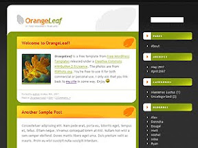 Finance Orange Free Wordpress Theme