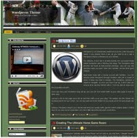 Free Wordpress Cricket game Theme