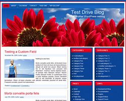 Red Sunflower