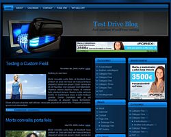 Blue Hosting WP