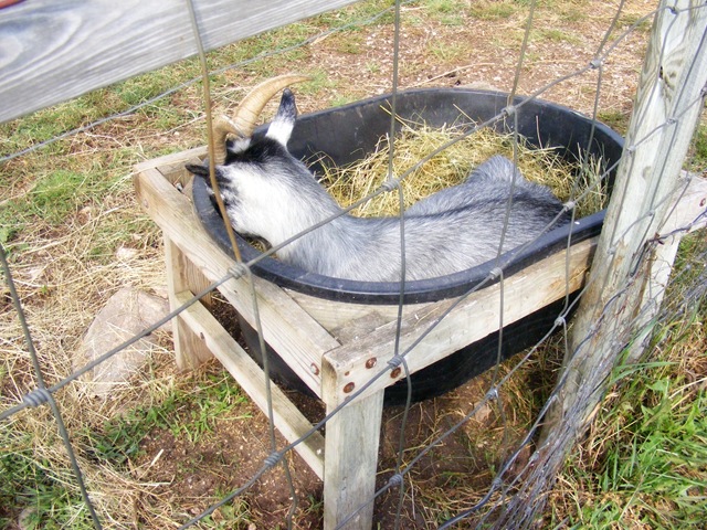 [Aug820102532.jpg]