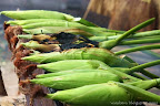 Jagung Susu