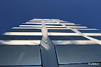 IMG_6526 copy.JPG