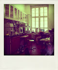 P8231143-pola.jpg