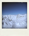 IMG_8483-pola.jpg