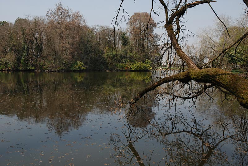 Giardino_06.jpg