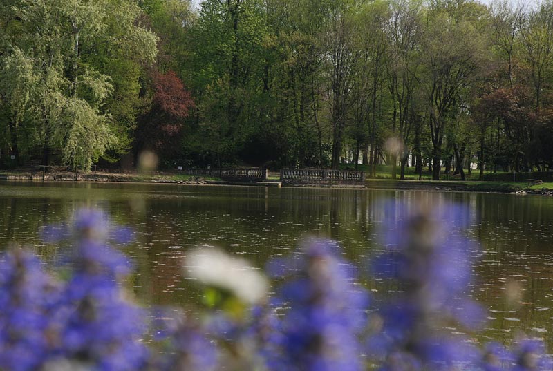 Giardino_10.jpg