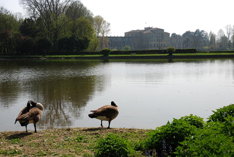 Giardino_20.jpg