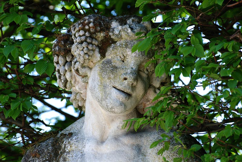 V_P_Giardino_40.jpg