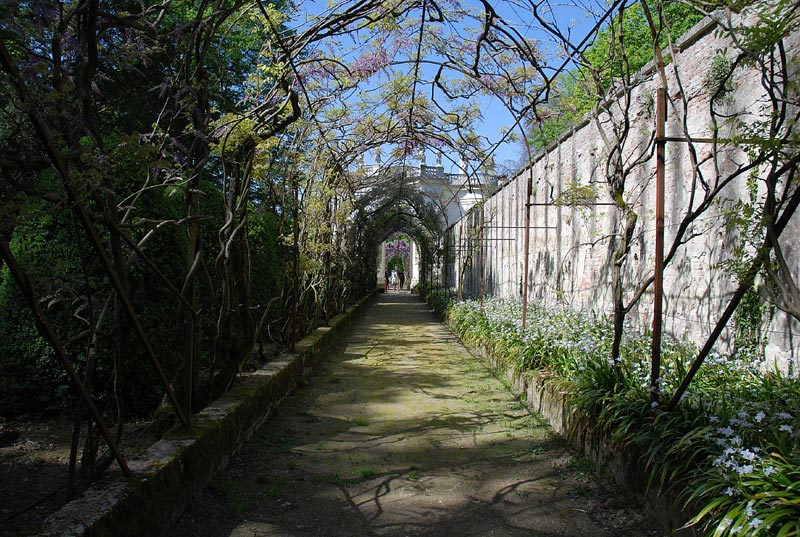 V_P_Giardino_23.jpg