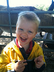 Super excited about the animals eating out of his hand!