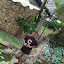 DSC05356.JPG