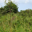 DSC05391.JPG