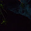 DSCN0095.JPG