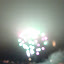 DSC05797.JPG