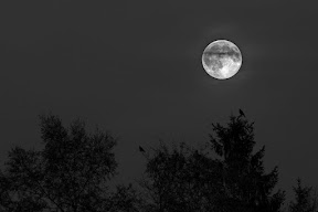 Vollmond Westerbeck
