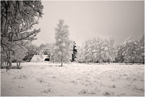 Teufelsmoor - Winterimpression
