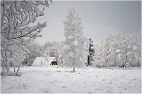 Teufelsmoor - Winterimpression