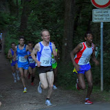 Eppsteiner Burg-Lauf 2010 Strecke