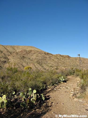 A ruined windmill
